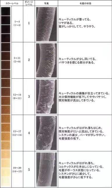 Hair Healthy Chart